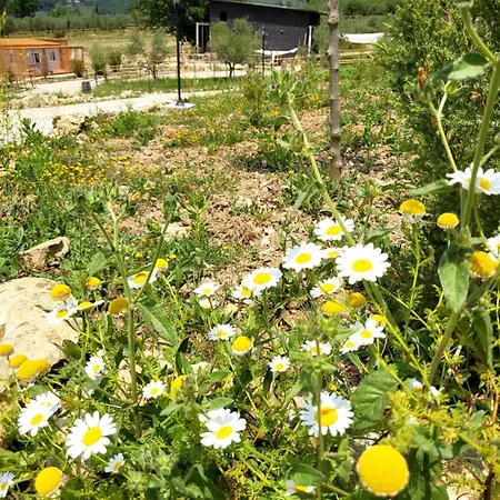 Viovillas Glamping * 阿雷佐