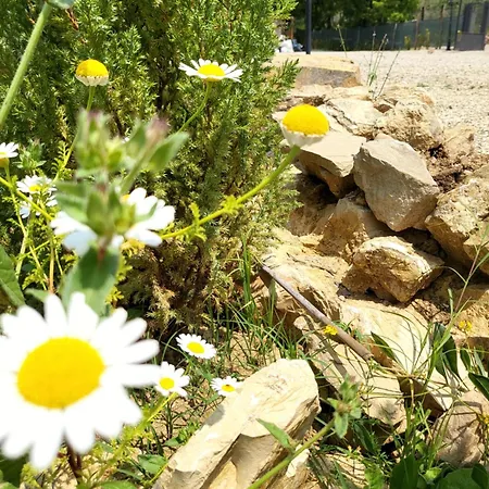 营地 Viovillas Glamping *