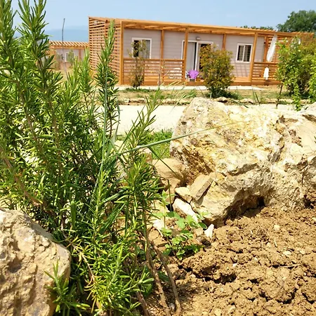 Viovillas Glamping ארצו