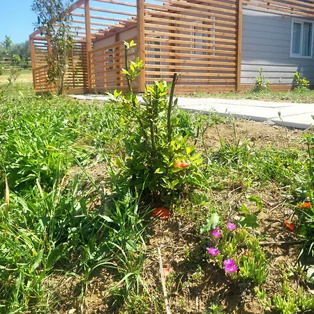 Viovillas Glamping * Arezzo