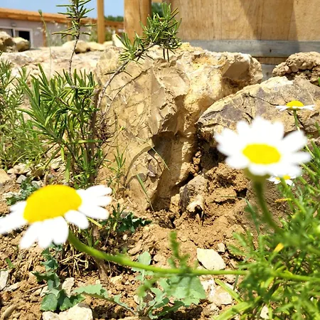 مكان تخييم Viovillas Glamping أريتسو