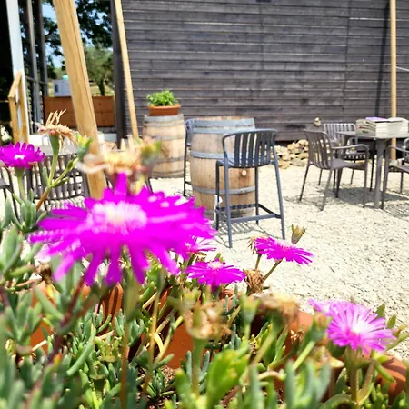 Viovillas Glamping ארצו