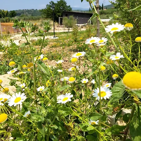Viovillas Glamping * 阿雷佐