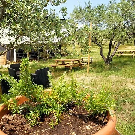 مكان تخييم Viovillas Glamping *