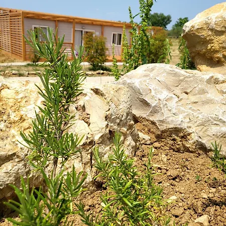 营地 Viovillas Glamping 阿雷佐