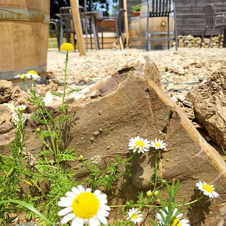 Viovillas Glamping 营地