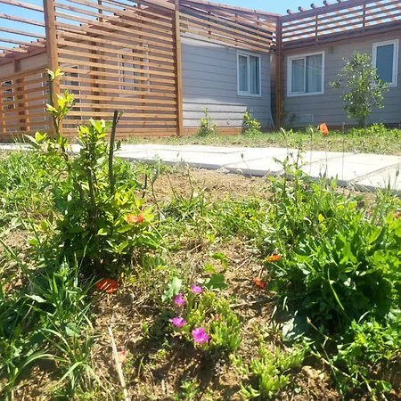 אתר קמפינג Viovillas Glamping