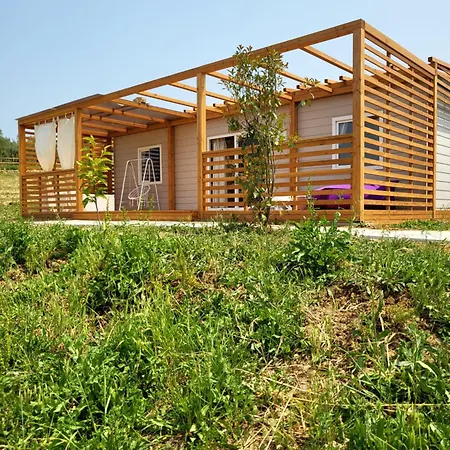 Viovillas Glamping 营地 *