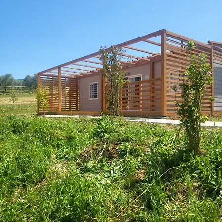 Viovillas Glamping 阿雷佐