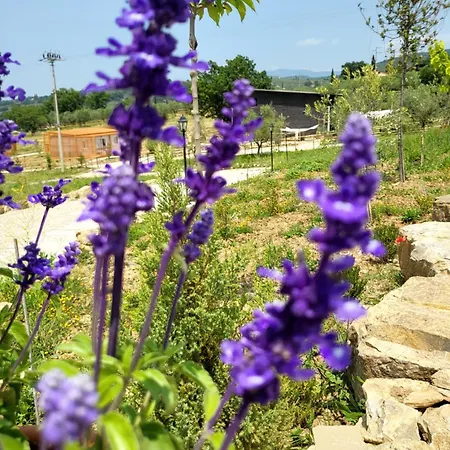 Viovillas Glamping