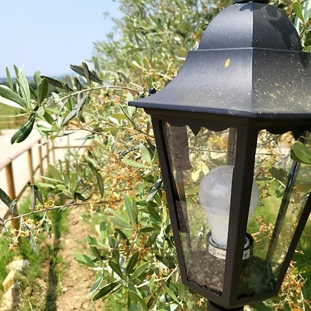 Viovillas Glamping אתר קמפינג *