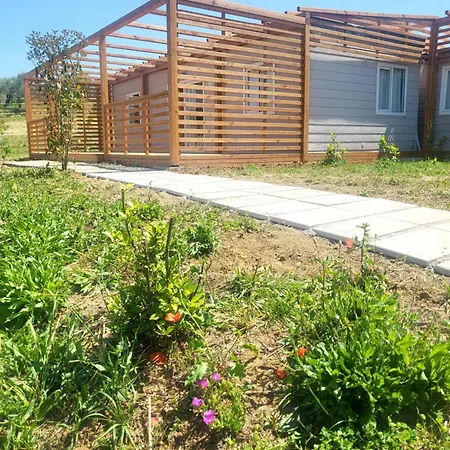 אתר קמפינג Viovillas Glamping ארצו