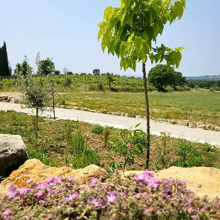 Viovillas Glamping ארצו
