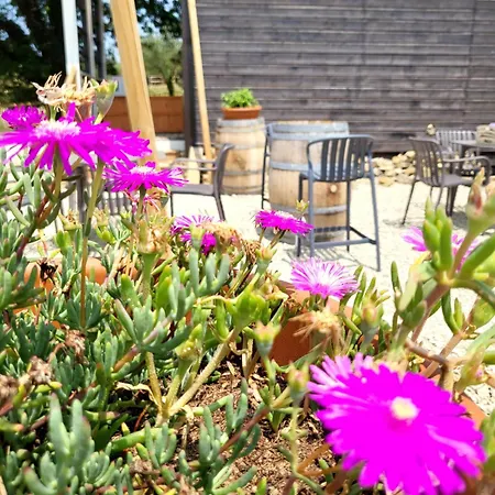 Viovillas Glamping 营地