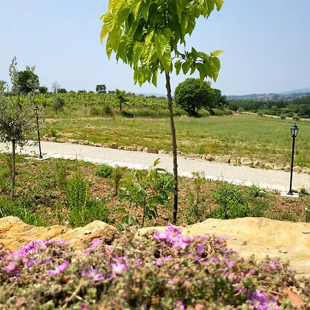Viovillas Glamping