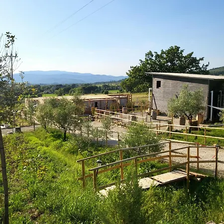 Viovillas Glamping 营地 *