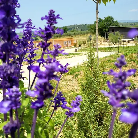 مكان تخييم Viovillas Glamping *