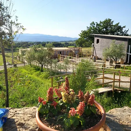 Viovillas Glamping ארצו