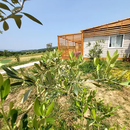 营地 Viovillas Glamping *