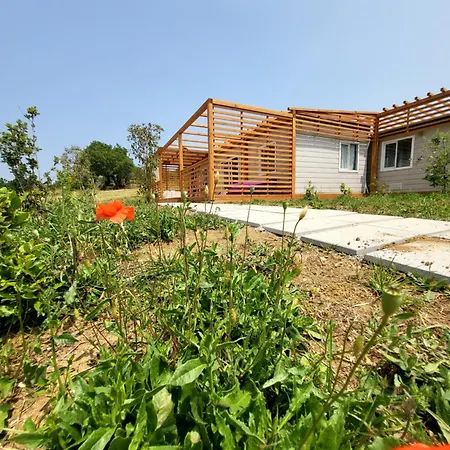 Viovillas Glamping 营地 *