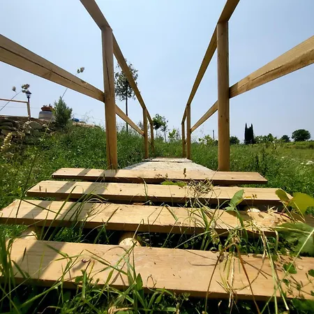 Viovillas Glamping 营地 阿雷佐