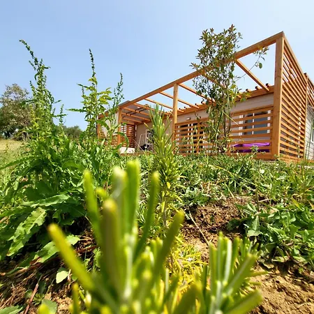 Viovillas Glamping ארצו
