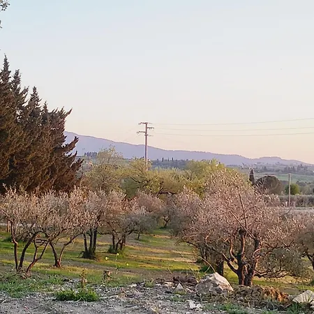 Viovillas Glamping