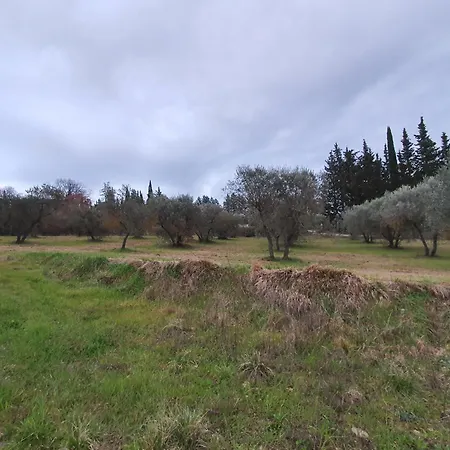 Viovillas Glamping אתר קמפינג *